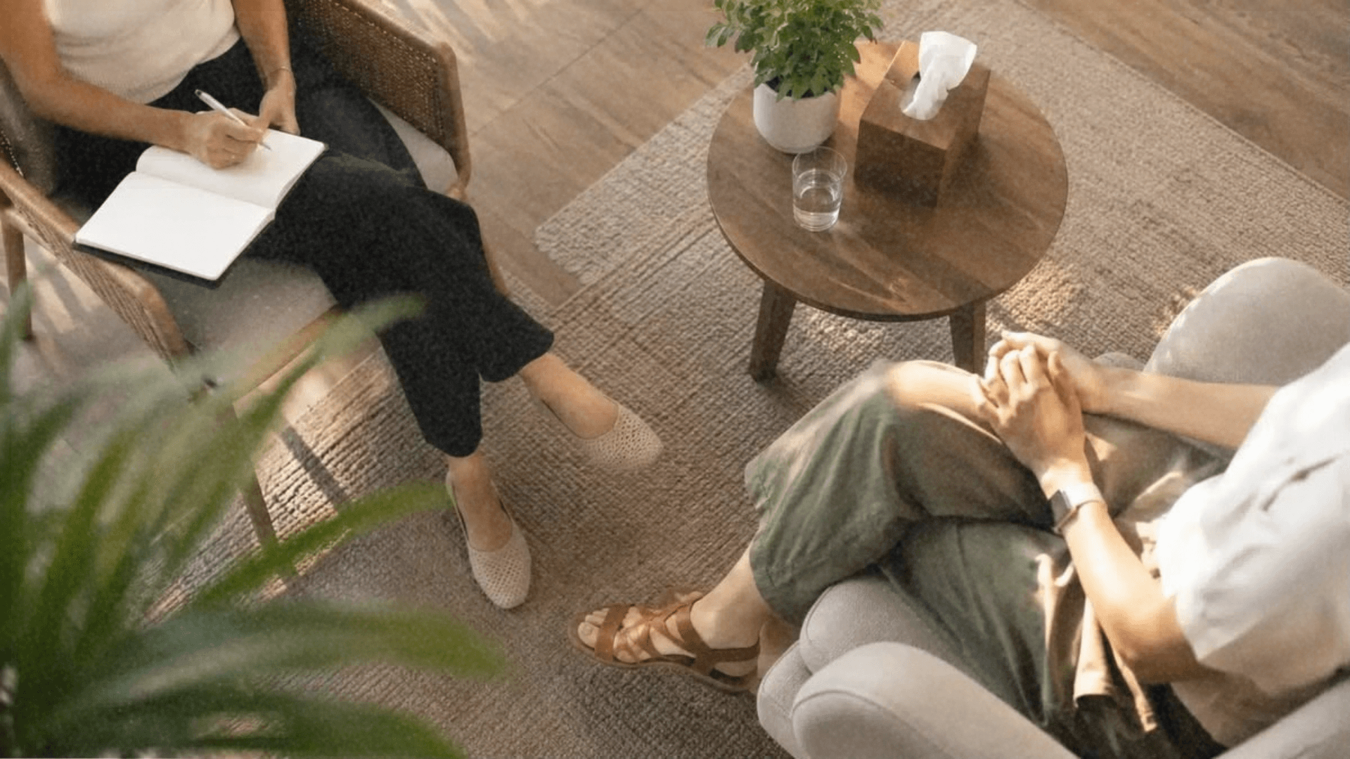 duas pessoas em uma sessão de terapia